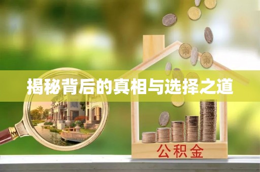 长沙揭秘背后的真相与选择之道