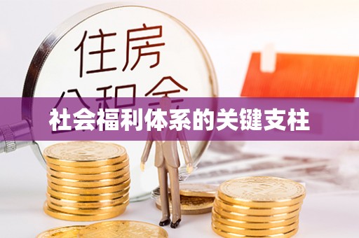 长沙社会福利体系的关键支柱